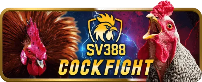 Hướng dẫn chơi Nổ Hũ cơ bản cho người mới bắt đầu tại NC88 Casino