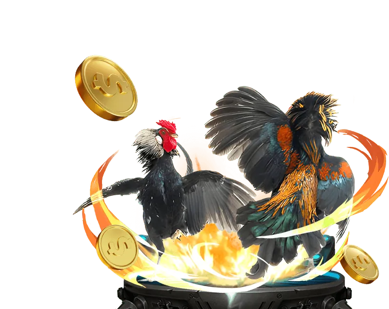 Nền tảng nc88 Casino an toàn và đáng tin cậy